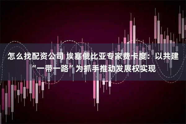 怎么找配资公司 埃塞俄比亚专家费卡度：以共建“一带一路”为抓手推动发展权实现