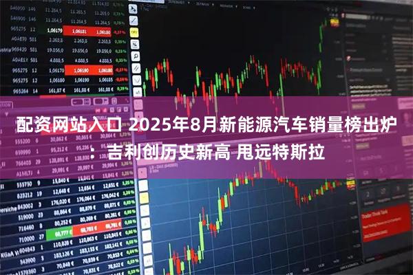配资网站入口 2025年8月新能源汽车销量榜出炉：吉利创历史新高 甩远特斯拉